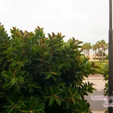 Playa - Malvarrosa Beach